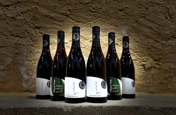 The 2023 Pinot Noir Pack